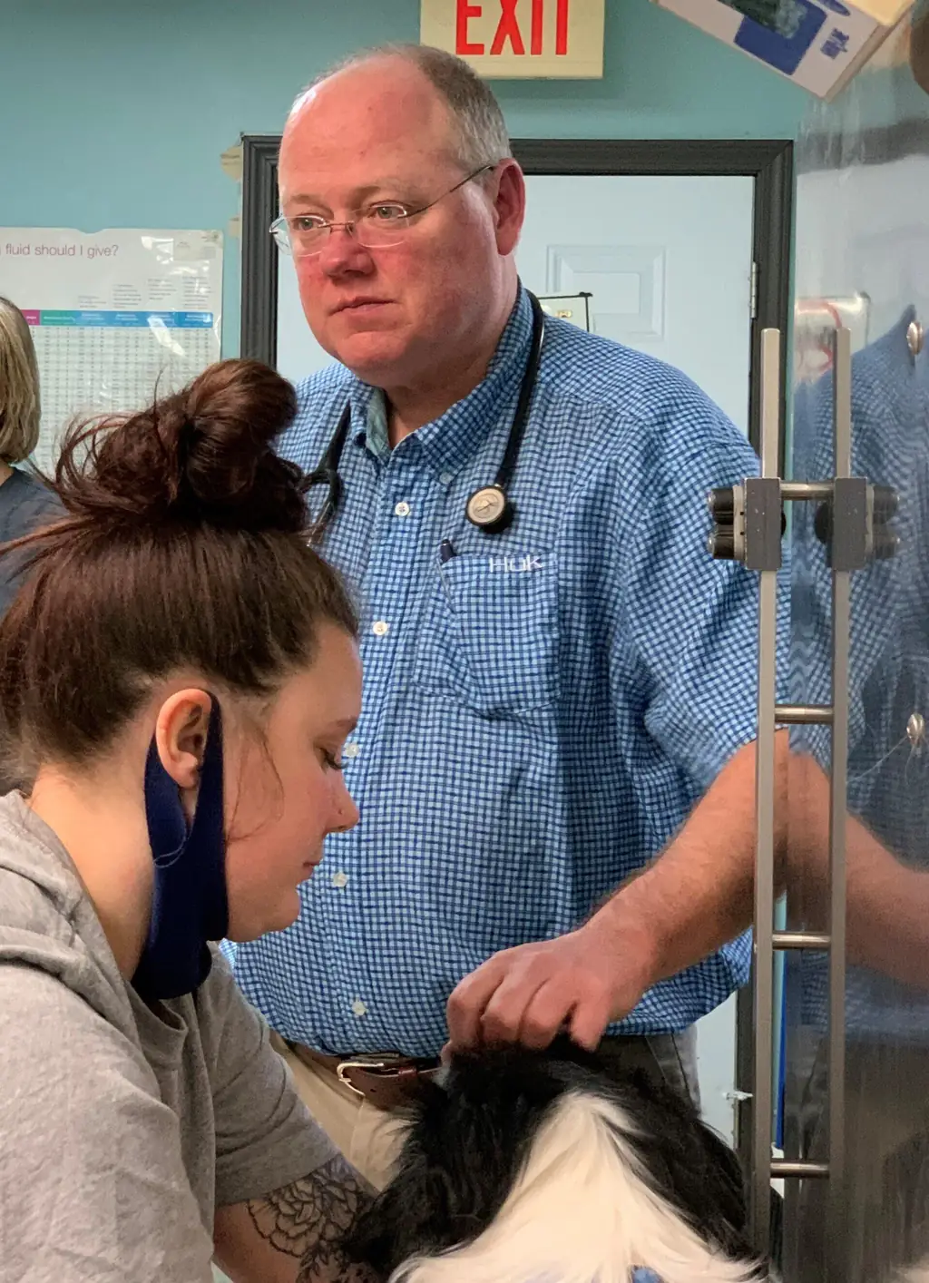 Dr. Mark Lawrence examining a patient at Woodsprings Animal Clinic in Jonesboro