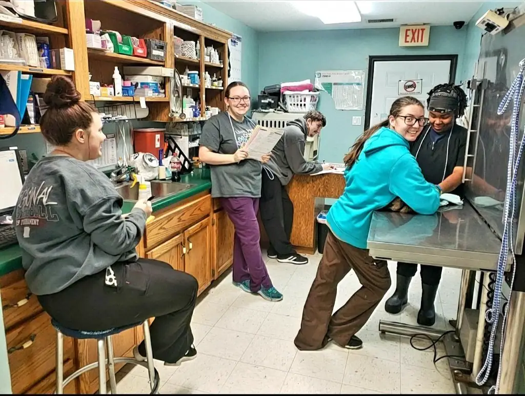 The treatment room at Woodsprings Animal Clinic in Jonesboro